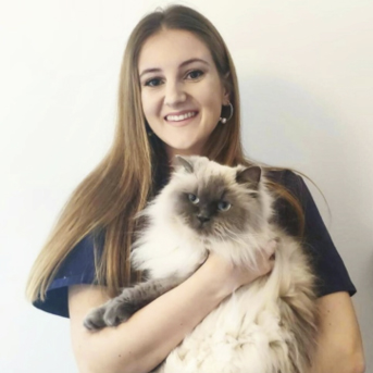 Hospital Veterinario H.A